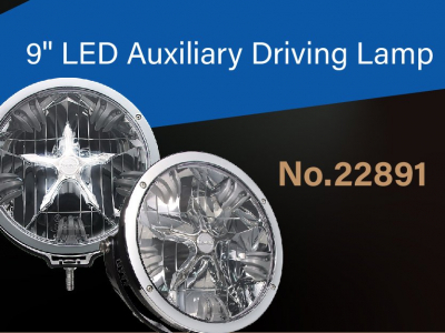 Lucidity 9'' LED Auxiliary Driving Lamp 22891