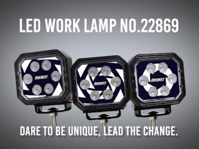 Lucidity Customizable LED Light No. 22869